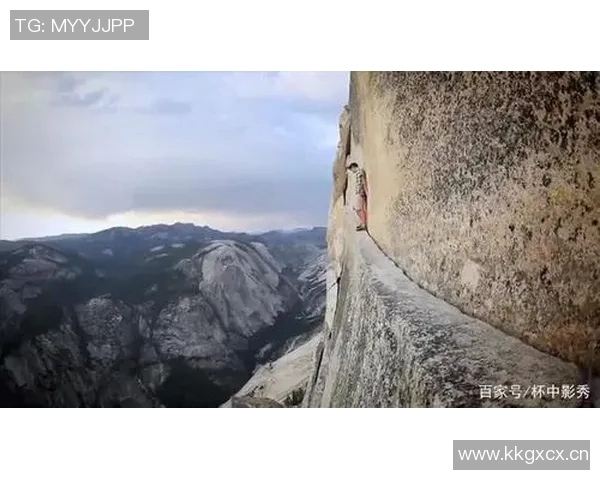 突破极限，挑战未知：全球各项纪录背后的故事与传奇